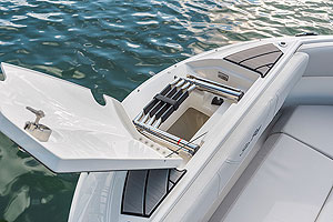 Новые опции Sea Ray