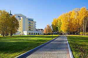 Вихрь удовольствий