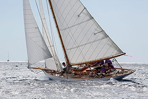 Хранители Viola