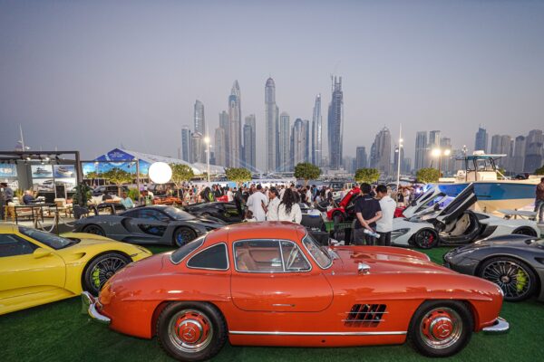 ANZ00405-2-min-600x400-1.jpg